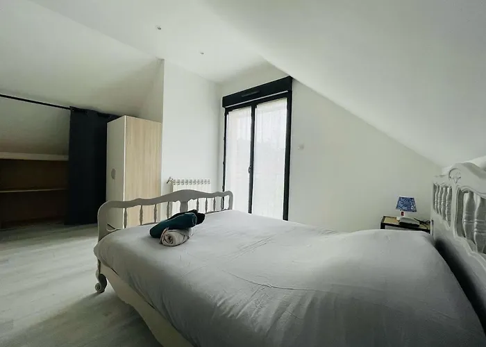 Maison Cosy Jardin Des Plantes - 9 Voyageurs - 388 * 鲁昂