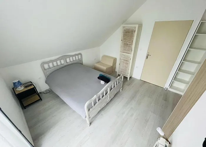 Maison Cosy Jardin Des Plantes - 9 Voyageurs - 388 鲁昂