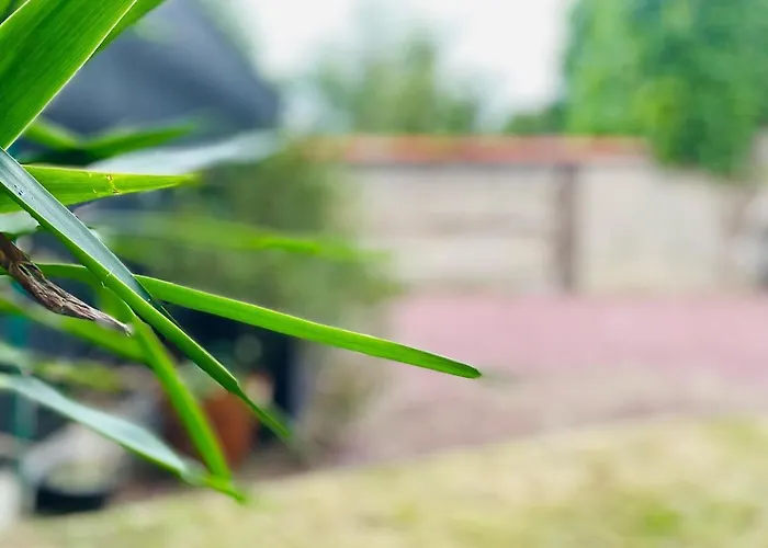 Nyaraló Maison Cosy Jardin Des Plantes - 9 Voyageurs - 388 Rouen